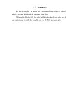 Hòa giải trong tố tụng dân sự tại Toà án nhân dân huyện Lục Nam