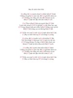 Lời bài hát hợp âm guitar Bay đi cánh chim biển