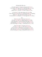 Lời bài hát hợp âm guitar bẽ bàng bướm đậu mù u