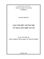 TẠO ẢNH SIÊU ÂM MẬT ĐỘ SỬ DỤNG KẾT HỢP TẦN SỐ (Luận văn thạc sĩ)