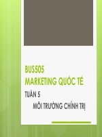 Bài giảng Marketing quốc tế (Th.s Nguyễn Thị Minh Hải)  Tuần 5