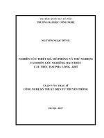 NGHIÊN CỨU THIẾT KẾ, MÔ PHỎNG VÀ THỬ NGHIỆM CẢM BIẾN GÓC NGHIÊNG HAI CHIỀU CẤU TRÚC HAI PHA LỎNG –KHÍ (Luận văn thạc sĩ)