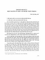 Ảnh hà nội xưa  một nguồn sử liệu cần được trân trọng (2013) trần thị hồng ánh 