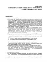 Solution manual advanced accounting 9e by hoyle ch06 