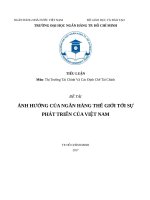 tiểu luận định chế tài chính  BUH CLC