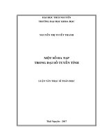 Một số đa tạp trong đại số tuyến tính (Luận văn thạc sĩ)