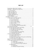 Phân tích chiến lược chiêu thị của công ty sữa vinamilk