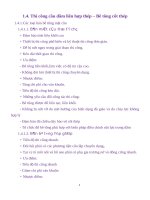 Thi công cầu dầm liên hợp thép – Bê tông cốt thép