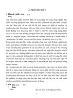 Ứng dụng sóng siêu âm để nâng cao hiệu quả quá trình thủy phân tinh bột khoai mì (Manihot esculenta crantz).