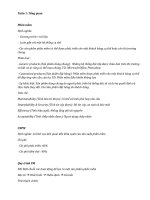 Đề Cương Tự Luận Nhập môn Công nghệ phần mềm KHTN 2017