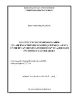 Nghiên cứu chuyển hóa sinh khối của Việt Nam thành dầu sinh học bằng quá trình nhiệt phân nhanh và hydrodeoxy hóa (HDO) trên cơ sở xúc tác Molybden