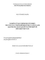 Nghiên cứu quá trình truyền nhiệt - truyền chất trong bình hấp thụ của máy lạnh hấp thụ NH3-H2O loại liên tục phù hợp với điều kiện Việt Nam