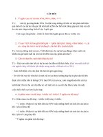 Ý nghĩa của các chỉ tiêu NVA, NPVE, IRRE