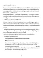 Phát triển thuật toán dự đoán vị trí của thuê bao di động theo tiếp cận khai phá dữ liệu