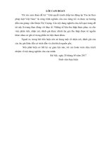 GIẢI QUYẾT TRANH CHẤP LAO ĐỘNG tại tòa án THEO PHÁP LUẬT VIỆT NAM