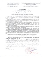 Quyết định ban hành Quy định Chế độ làm việc đối với giảng viên Trường Đại học Cần Thơ