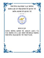 Tiểu luận Cộng đồng kinh tế ASEAN AEC