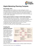 v11 Digital Marketing Plan Template