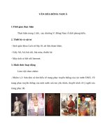 Trải nghiêm văn hóa ĐÔNG NAM á   LỊCH sử 10