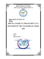 Tiểu luận Hiệp định đối tác xuyên Thái Bình Dương TPP