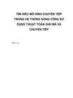 TÌM HIỂU mô HÌNH CHUYỂN TIẾP TRONG hệ THỐNG SONG CÔNG sử DỤNG THUẬT TOÁN GIẢI mã và CHUYỂN TIẾP