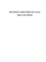 MÔ PHỎNG NHẬN DIỆN mã VẠCH TRÊN sản PHẨM (có code)