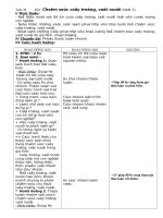 Giáo án VI TÍNH DUY PHƯƠNG 30