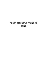 ROBOT tìm ĐƯỜNG TRONG mê CUNG (có code)
