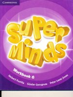 super minds 6 workbook