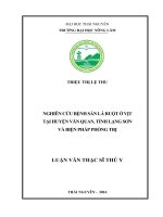 Nghiên cứu bệnh sán lá ruột ở vịt tại huyện Văn Quan, tỉnh Lạng Sơn và biện pháp phòng trị (Luận văn thạc sĩ)