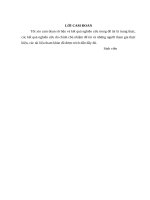 TÌM HIỂU LỄ HỘI CÔN SƠN - KIẾP BẠC - THỊ XÃ CHÍ LINH - HẢI DƯƠNG