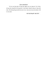 Tìm hiểu giá trị di tích lịch sử Thành nhà Mạc