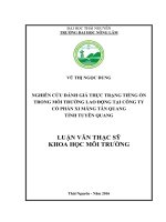 Nghiên cứu đánh giá thực trạng tiếng ồn trong môi trường lao động tại Công ty Cổ phần Xi măng Tân Quang tỉnh Tuyên Quang (Luận văn thạc sĩ)