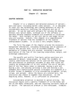 Solution manual investments 10th by jones ch17 