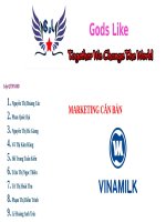 Thực hành marketing văn bản chiến lược định vị sản phẩm vinamilk 1