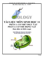 Boi Duong HSG Sinh Hoc 11