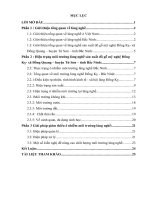 Ô nhiễm môi trường làng nghề sản xuất đồ gỗ mỹ nghệ Đồng Kỵ xã Đồng Quang – huyện Từ Sơn – tỉnh Bắc Ninh