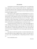 Thực trạng chất lượng cán bộ chuyên trách cấp xã tại huyện Tương Dương tỉnh Nghệ An