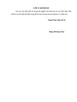 Thực trang múa rối nước ở Việt Nam