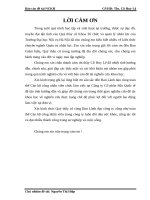 Thực trạng chế độ phúc lợi đối với người lao động tại Công ty Cổ phần Sữa Quốc tế