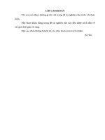 Thực trạng người dùng tin và nhu cầu tin tại thư viện Viện nghiên cứu Đông Nam Á