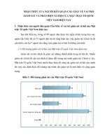 tiểu luận Kỹ năng điều tra Xã hội học Chính trị