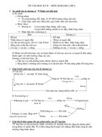 Sinh học lớp 6 :: Trường THCS Trần Văn Ơn :: | Tin tức | Dạy và Học | Sinh | Hướng dẫn ôn tập Học Kỳ 2 môn Sinh học Ontap Sinh 6 HKII
