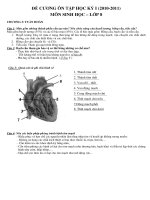 Môn Sinh khối 8 :: Trường THCS Trần Văn Ơn :: | Tin tức | Dạy và Học | Sinh | Hướng dẫn ôn tập học kỳ 1 môn Sinh học