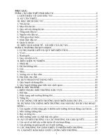 Dự án xây dựng cơ sở giết mổ gia súc, gia cầm tập trung