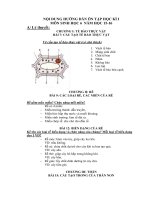 SINH :: Trường THCS Trần Văn Ơn :: | Tin tức | Bản tin trường | LỊCH THI HỌC KỲ 1  ĐỀ CƯƠNG ÔN TẬP (CẬP NHẬT ĐẦY ĐỦ)