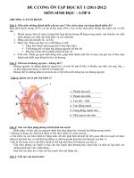 Sinh lớp 8 :: Trường THCS Trần Văn Ơn :: | Tin tức | Dạy và Học | Sinh | Hướng dẫn ôn tập môn Sinh học kỳ I 20112012 DE CUONG HKI SINH8