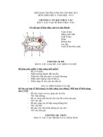 Sinh học 6 :: Trường THCS Trần Văn Ơn :: | Tin tức | Dạy và Học | Sinh | Hướng dẫn ôn tập Học kỳ 1Năm học 20142015 môn Sinh học TVO DC sinh 6