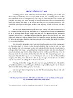 MANG HÌNH GIẤC MƠ :: Trường THCS Trần Văn Ơn :: | Tin tức | Nói lời hay làm việc tốt | Giới thiệu các bài cảm nhận về ngôi trường Trần Văn Ơn MANG HINH GIAC MO