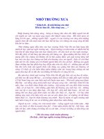 NHỚ TRƯỜNG XƯA :: Trường THCS Trần Văn Ơn :: | Tin tức | Nói lời hay làm việc tốt | Giới thiệu các bài cảm nhận về ngôi trường Trần Văn Ơn (tiếp theo) Nho Truong Xua